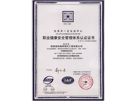 职业健康安全管理体系认证证书