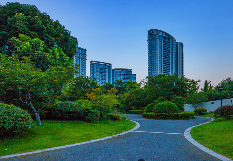 案例展示